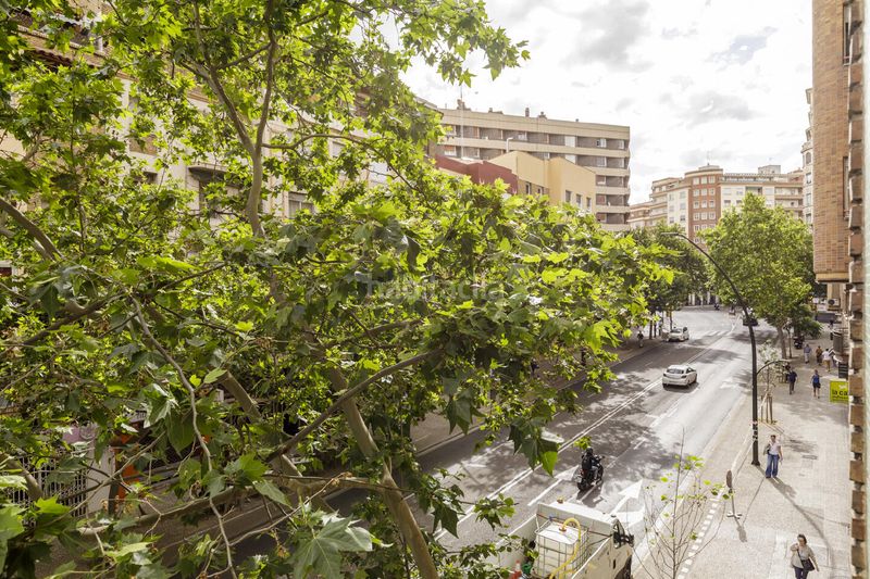 Foto 0a334a09-5a9f-4574-96bb-76d29de7833b. Pis a Ruiseñores Zaragoza