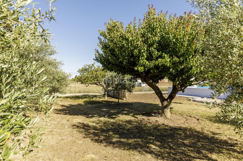 Foto bcdf812e-29ee-4e85-bef0-4d9771d18aa4. Casa a Garrapinillos Zaragoza