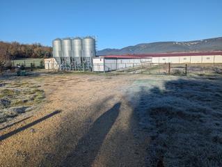 Local Comercial a Zúñiga. Venta de granja de conejo