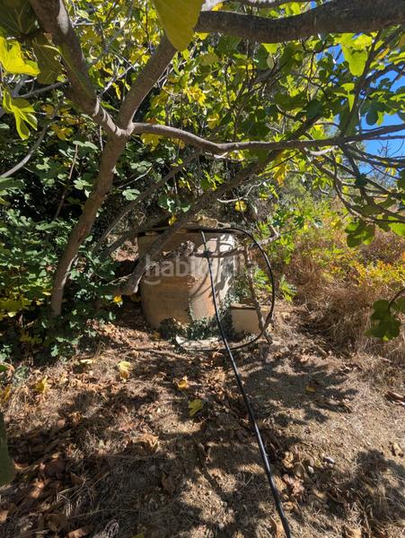 Foto 9f73b18e-de9f-4e24-b94e-222bbd7febe4. Fondo rustico in Estella / Lizarra