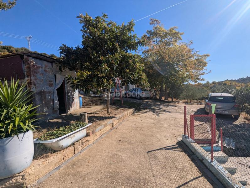 Foto cce0c00f-dd1b-4f92-9b21-fb7fe11cecf2. Fondo rustico in Estella / Lizarra