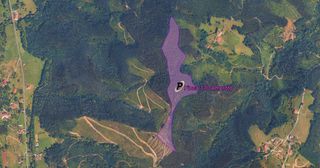 Rural plot  Lugar barrio odiaga 7b. Terreno rústico forestal 168.510 m² amoroto