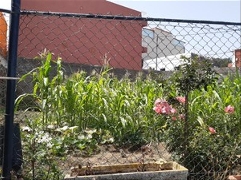 Foto 2bdad5f0-3f97-483d-86fa-894c8c41b839. Maison dans camino julan 5 dans Buen Paso - La Mancha Icod de los Vinos