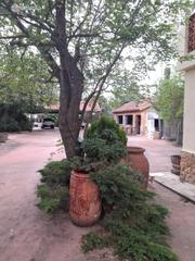 Mas à Santa Teresa - Vereda. Api luna inmobiliaria vende restaurante con casa y terreno