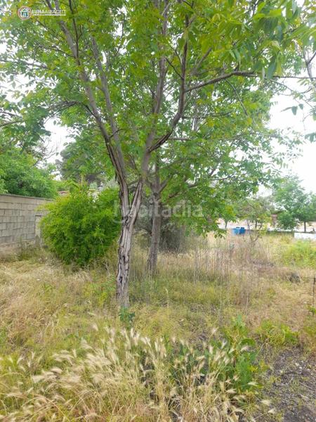 Foto e3d7fec9-b407-4a4a-a3a0-5cbc28b91c27. Wohngrundstück in Pedanías - Extrarradio Albacete