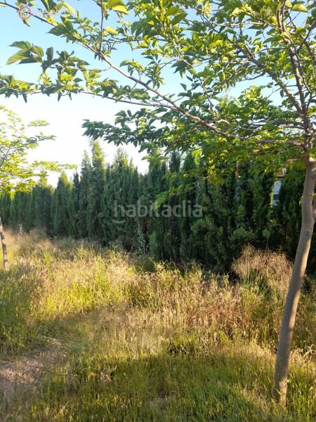 Foto 33e9f9e2-5478-4227-b156-05af22eb4cc0. Terreno residenziale in Pedanías - Extrarradio Albacete