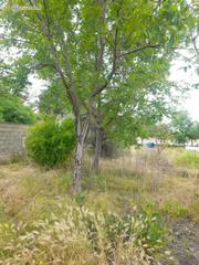 Terreno residencial en Pedanías - Extrarradio. Parcela en venta en albacete.