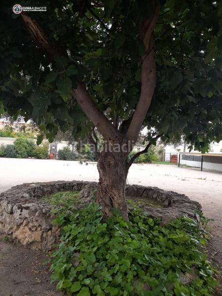 Foto c31375ef-6881-4cd5-a905-a7b489ea0675. Masía finca rúst. en venta en carretera jaén. en Santa Teresa - Vereda Albacete