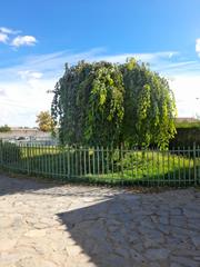 Chalet en Pedanas - Extrarradio. Chalet en venta en carretera las peas, 7 dormitorios.