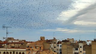 Àtic a Centro. Atico en venta en calle ancha, 2 dormitorios.