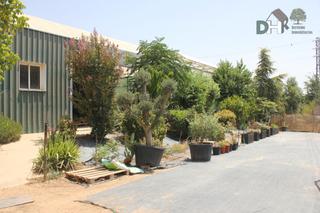 Terreny residencial a Solana de los Barros. Solana de los barrosterreno