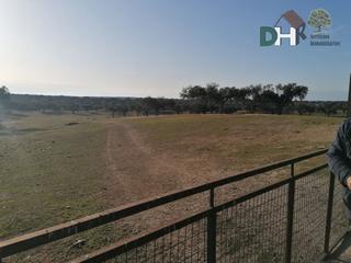 Terreny residencial a Casco Antiguo. Cáceresterreno