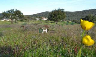 Residential Plot in Casco Antiguo. Cáceresterreno