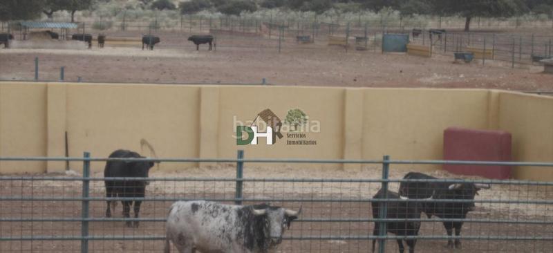 Foto 6aa07923-eaea-4a8a-b364-0ce9f48e8227. Masia a Torrejón el Rubio