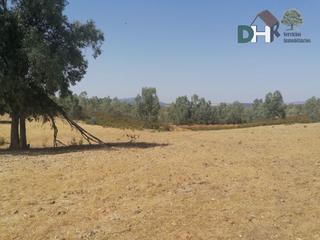 Residential Plot in Casco Antiguo. Badajozterreno
