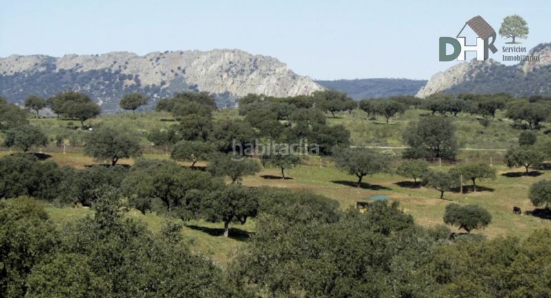 Foto d670b211-3f00-476f-a856-f3511b1bb265. Terreno residenziale in Torrejón el Rubio