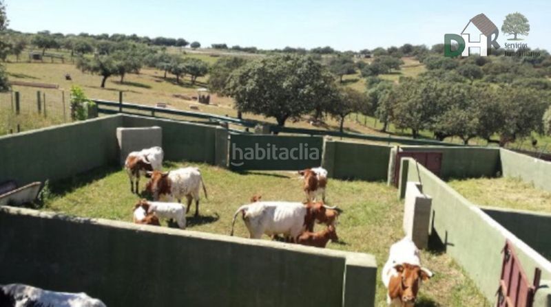 Foto db72ad5e-1c7a-4fa6-92d5-63ef07db764b. Terreno residenziale in Torrejón el Rubio