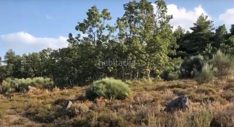 Foto 0a97dfce-99b4-40d3-9c23-58df48c61295. Wohngrundstück in Jerte