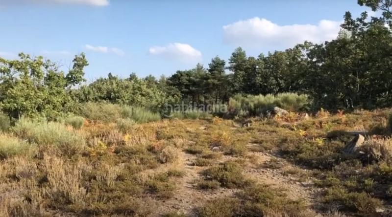 Foto 34f70f7b-a528-4d6e-93a4-f9fa8ae313d6. Wohngrundstück in Jerte