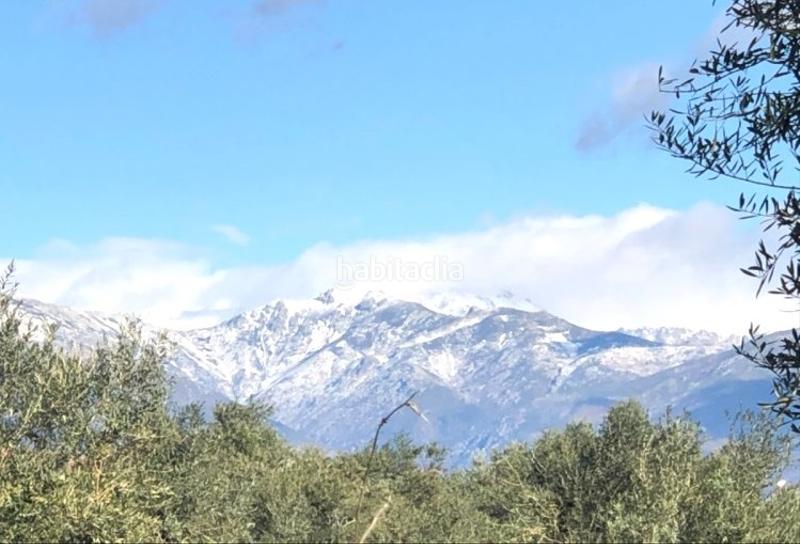 Foto c4cb42a3-b1df-4b63-99f7-79b8123fea18. Wohngrundstück in Jerte