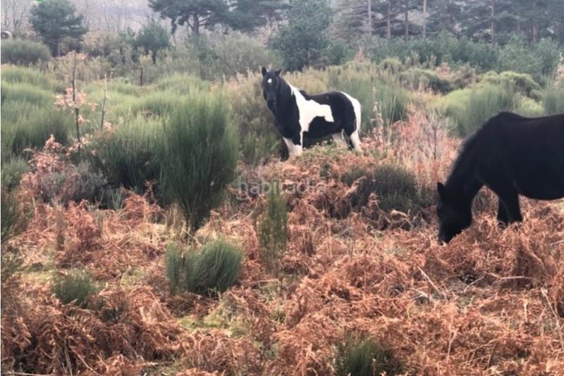 Foto e105e452-d6a4-46ce-be63-16dd6ffa30b4. Wohngrundstück in Jerte