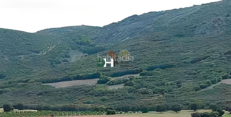 Foto c4d7ad1b-800d-45da-8974-73d6b4e5abbc. Terreny residencial a Los Cigarrales-La Bastida Toledo