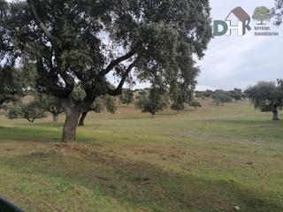 Residential Plot in Montesol - Mejostilla. Cáceresterreno