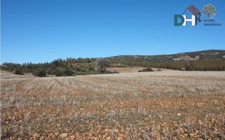 Residential Plot in Casco Antiguo. Badajozterreno