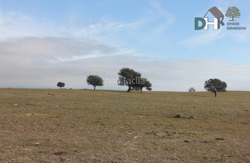 Foto 7cbecd9d-5c81-4acc-9155-0305fe1b0b1a. Terreny residencial a Los Cigarrales-La Bastida Toledo