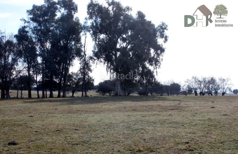 Foto 93305cdf-cdb1-4e5b-a3c6-89473e4721a3. Terreny residencial a Los Cigarrales-La Bastida Toledo