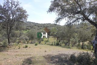 Residential Plot in Casco Antiguo. Badajozterreno