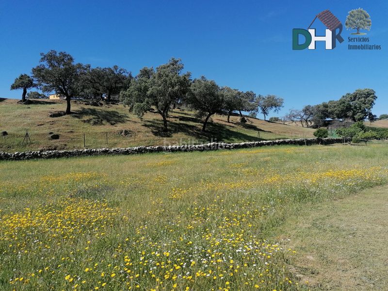 Foto 0b36163b-2b86-4f3e-9729-8b07d2e1a93c. Terreny residencial a Serradilla