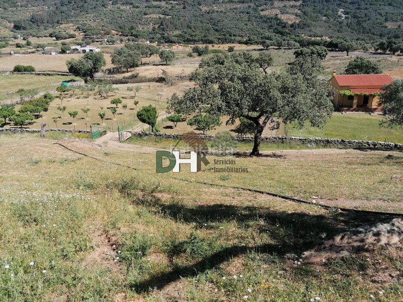 Foto 2b061ca4-4874-4942-8f66-2f6cc3e54308. Terreny residencial a Serradilla
