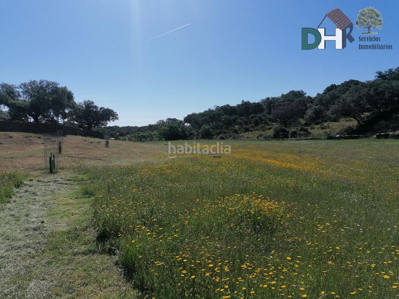 Foto 467705ec-5876-4457-9009-ebdd21506124. Terreny residencial a Serradilla