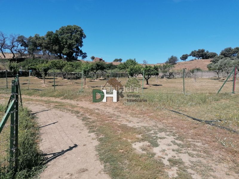 Foto 7e24e537-a1b3-4944-8f8a-96693710f071. Terreny residencial a Serradilla