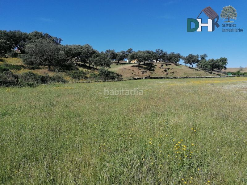 Foto a5e03393-ac31-49f4-b396-5aa6b128e613. Terreny residencial a Serradilla