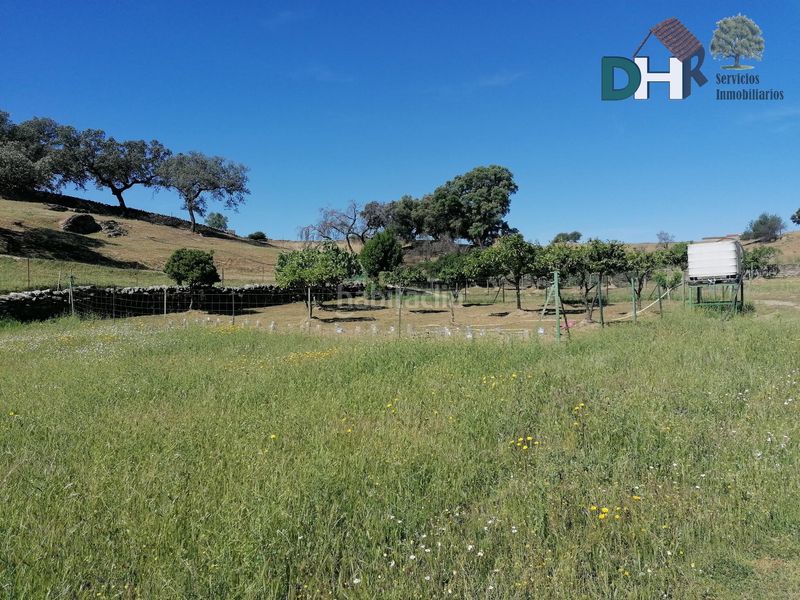 Foto c72f6828-004f-46ed-a783-e64cb76ba295. Terreny residencial a Serradilla