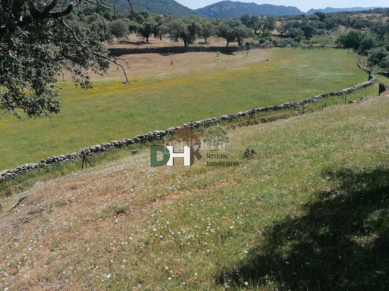 Foto e7881f7f-ba6b-4b0f-b9a8-67421aa91b74. Terreny residencial a Serradilla