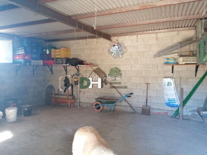 Foto eb5dc3db-e7b2-4001-97f4-346234f33f54. Terreny residencial a Serradilla