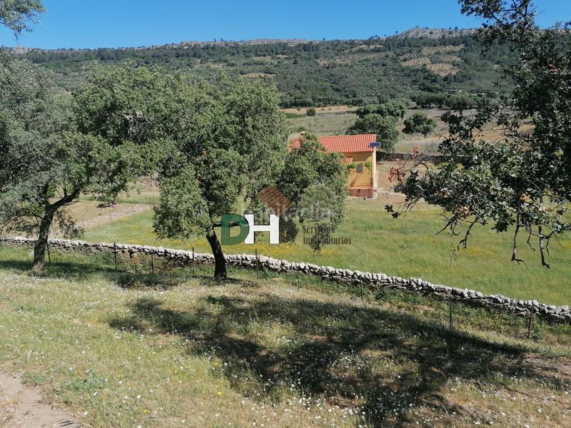 Foto f8d1396d-f782-49e9-85ed-93db0bd6b9dc. Terreny residencial a Serradilla