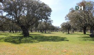 Residential Plot in San Vicente - Las Úrsulas. Salamancaterreno