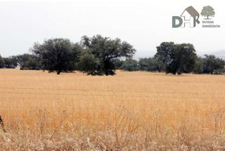 Residential Plot in Carretera de Sevilla - Los Montitos. Badajozterreno