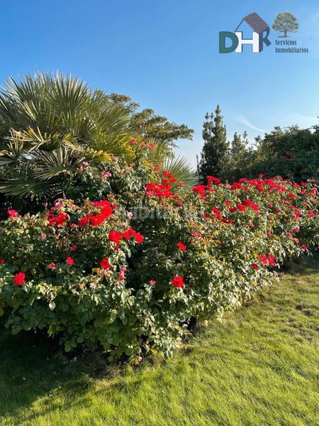 Foto c1ce06ed-f6db-41f6-9abc-2e65d64d8b6e. Wohngrundstück in Miguelturra