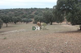 Terreno residencial en San Roque - Ronda Norte. Badajozterreno