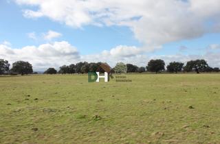 Residential Plot in Campus Universitario. Cáceresterreno