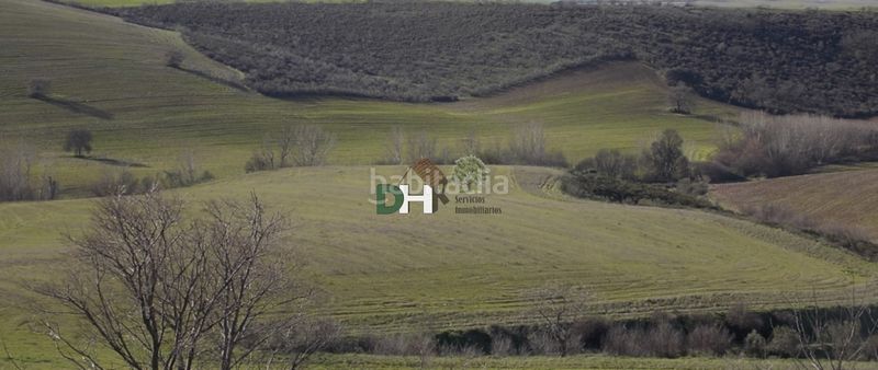 Foto 9c3723eb-4714-497e-b693-faf9b03fbbf3. Terreny residencial a Valdecarros Madrid