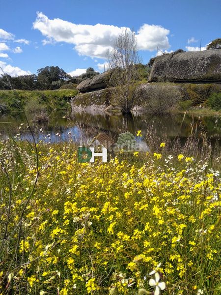Foto 4751c883-a19f-4db7-bb3a-ba0a34ba943d. Piso cácerespiso en Brozas