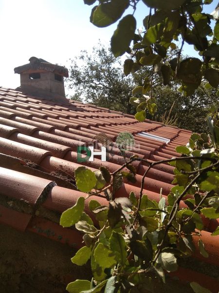 Foto 49906ff6-08b9-420c-90a2-a1e4fdcdebe3. Piso cácerespiso en Brozas