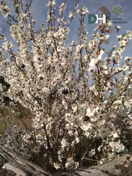 Foto bbf250b1-1ee7-44d1-9c1c-ccd63457aabe. Piso cácerespiso en Brozas