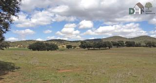Residential Plot in Carretera de Sevilla - Los Montitos. Badajozterreno